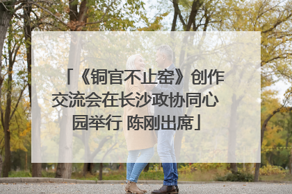 《铜官不止窑》创作交流会在长沙政协同心园举行 陈刚出席