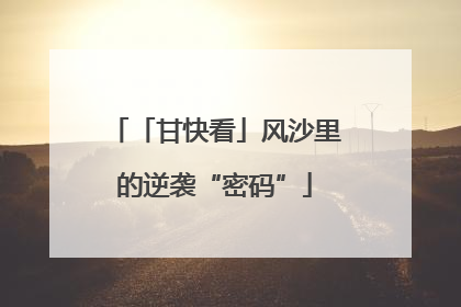 「甘快看」风沙里的逆袭“密码”