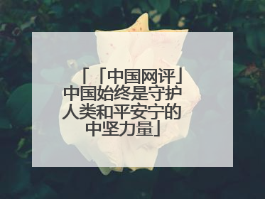「中国网评」中国始终是守护人类和平安宁的中坚力量