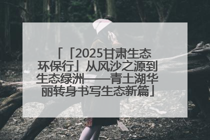 「2025甘肃生态环保行」从风沙之源到生态绿洲——青土湖华丽转身书写生态新篇