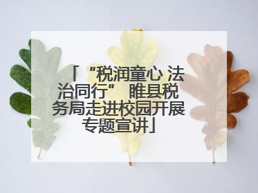 “税润童心 法治同行” 睢县税务局走进校园开展专题宣讲
