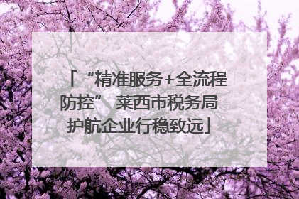 “精准服务+全流程防控” 莱西市税务局护航企业行稳致远