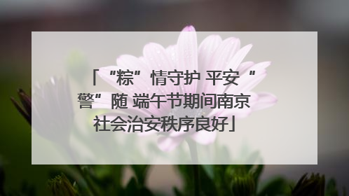 “粽”情守护 平安“警”随 端午节期间南京社会治安秩序良好
