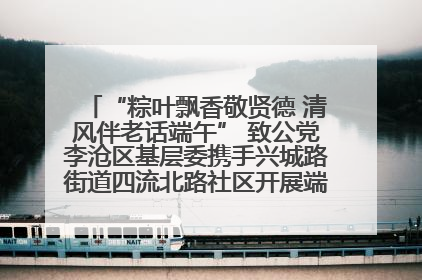 “粽叶飘香敬贤德 清风伴老话端午” 致公党李沧区基层委携手兴城路街道四流北路社区开展端午节主题活动