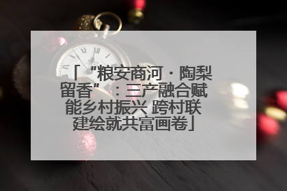 “粮安商河・陶梨留香”：三产融合赋能乡村振兴 跨村联建绘就共富画卷
