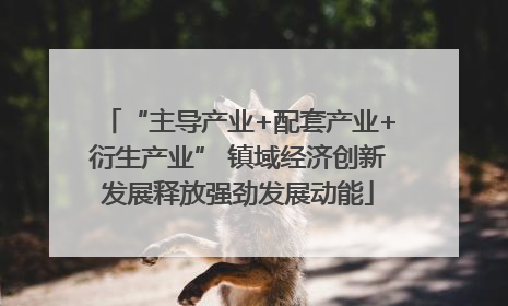 “主导产业+配套产业+衍生产业” 镇域经济创新发展释放强劲发展动能
