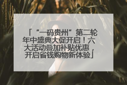 “一码贵州”第二轮年中盛典大促开启！六大活动叠加补贴优惠，开启省钱购物新体验
