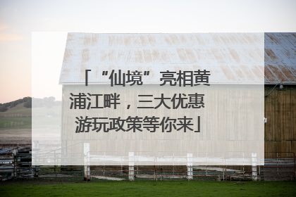 “仙境”亮相黄浦江畔，三大优惠游玩政策等你来