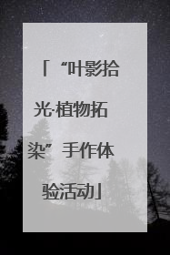 “叶影拾光·植物拓染”手作体验活动