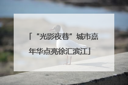 “光影夜巷”城市嘉年华点亮徐汇滨江