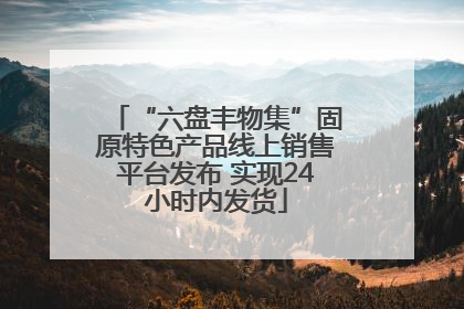 “六盘丰物集”固原特色产品线上销售平台发布 实现24小时内发货