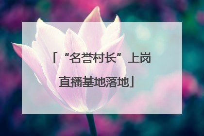 “名誉村长”上岗 直播基地落地