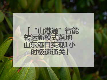 “山港通”智能转运新模式落地 山东港口实现1小时极速通关