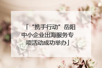 “携手行动”岳阳中小企业出海服务专项活动成功举办