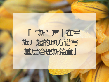 “新”声｜在军旗升起的地方谱写基层治理新篇章