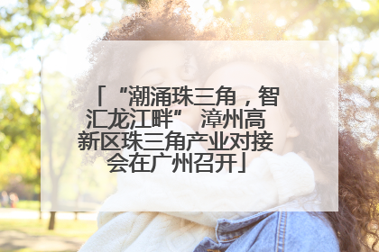 “潮涌珠三角，智汇龙江畔” 漳州高新区珠三角产业对接会在广州召开