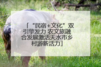 “民宿+文化”双引擎发力 农文旅融合发展激活天水市乡村游新活力