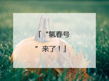 “氢春号”来了！