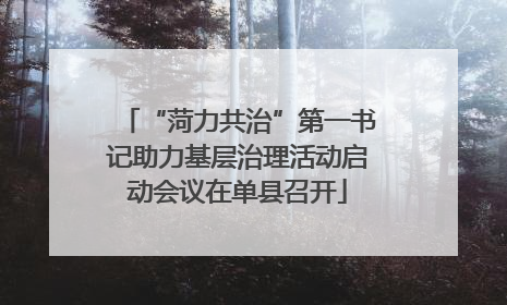 “菏力共治”第一书记助力基层治理活动启动会议在单县召开
