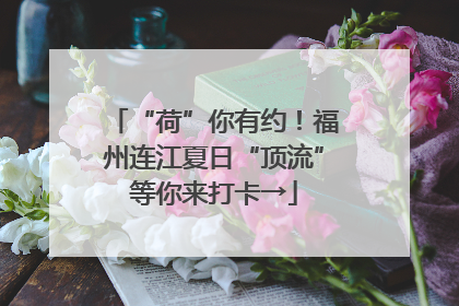 “荷”你有约！福州连江夏日“顶流”等你来打卡→