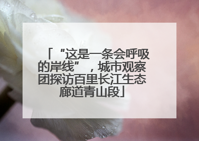 “这是一条会呼吸的岸线”，城市观察团探访百里长江生态廊道青山段