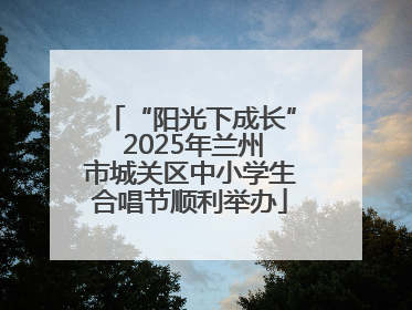 “阳光下成长” 2025年兰州市城关区中小学生合唱节顺利举办