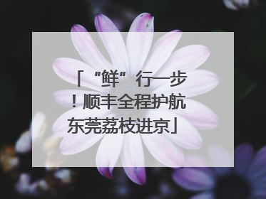 “鲜”行一步！顺丰全程护航东莞荔枝进京