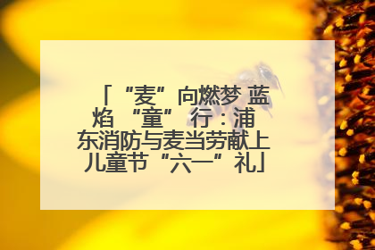 “麦”向燃梦 蓝焰 “童” 行：浦东消防与麦当劳献上儿童节“六一”礼