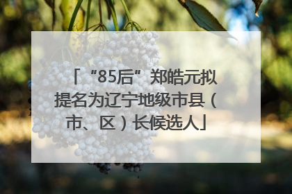 “85后”郑皓元拟提名为辽宁地级市县（市、区）长候选人