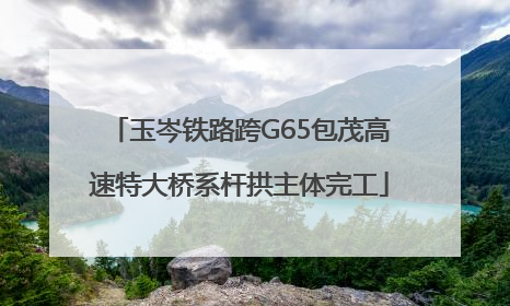 玉岑铁路跨G65包茂高速特大桥系杆拱主体完工