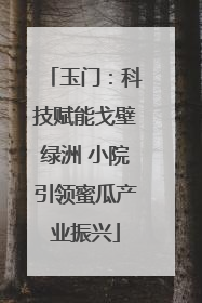 玉门：科技赋能戈壁绿洲 小院引领蜜瓜产业振兴