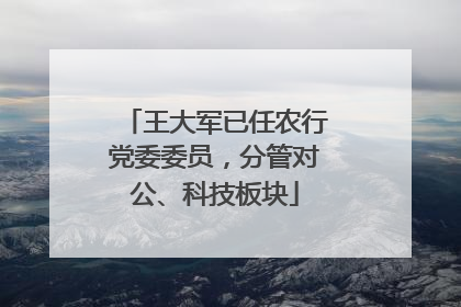 王大军已任农行党委委员，分管对公、科技板块