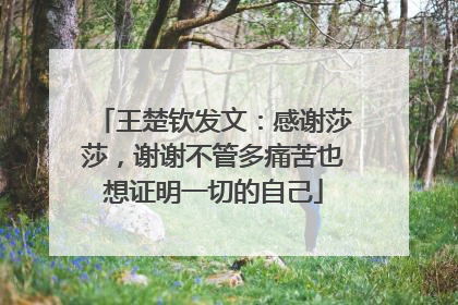王楚钦发文：感谢莎莎，谢谢不管多痛苦也想证明一切的自己