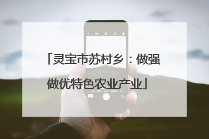灵宝市苏村乡：做强做优特色农业产业