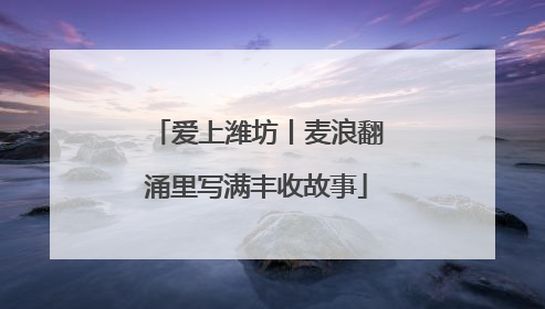 爱上潍坊丨麦浪翻涌里写满丰收故事