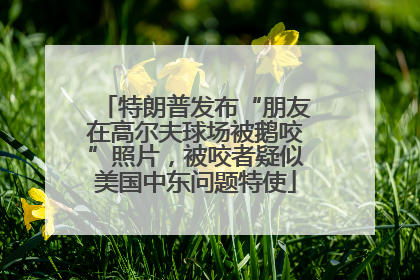 特朗普发布“朋友在高尔夫球场被鹅咬”照片，被咬者疑似美国中东问题特使