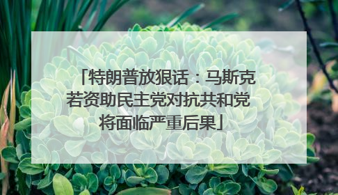 特朗普放狠话：马斯克若资助民主党对抗共和党 将面临严重后果