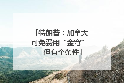 特朗普：加拿大可免费用“金穹”，但有个条件