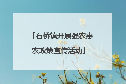石桥镇开展强农惠农政策宣传活动