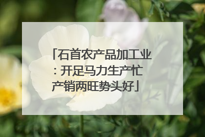 石首农产品加工业：开足马力生产忙 产销两旺势头好
