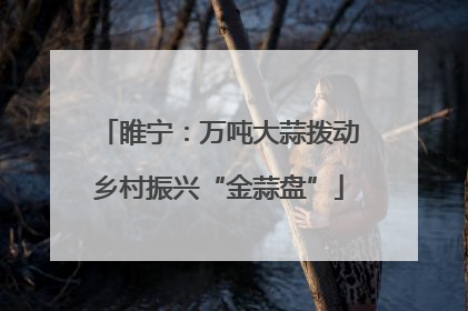 睢宁：万吨大蒜拨动乡村振兴“金蒜盘”