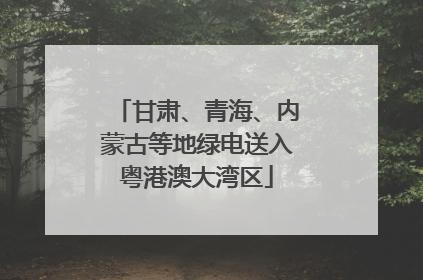 甘肃、青海、内蒙古等地绿电送入粤港澳大湾区