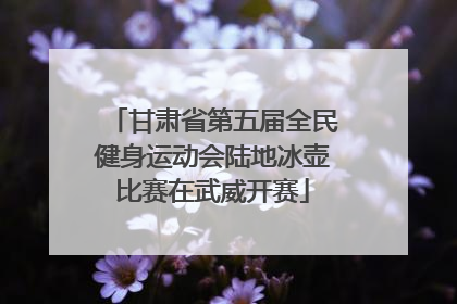 甘肃省第五届全民健身运动会陆地冰壶比赛在武威开赛