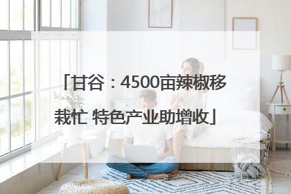 甘谷：4500亩辣椒移栽忙 特色产业助增收