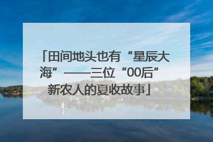 田间地头也有“星辰大海”——三位“00后”新农人的夏收故事