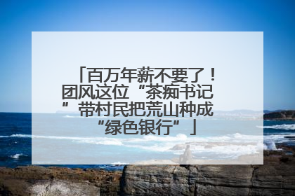 百万年薪不要了！团风这位“茶痴书记”带村民把荒山种成“绿色银行”