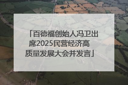百德福创始人冯卫出席2025民营经济高质量发展大会并发言