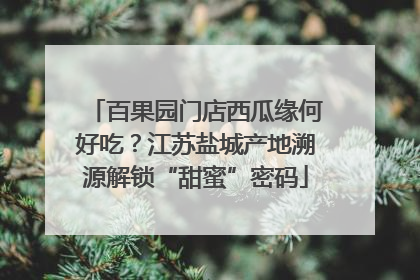 百果园门店西瓜缘何好吃？江苏盐城产地溯源解锁“甜蜜”密码