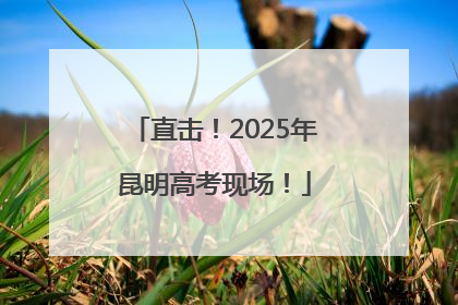 直击！2025年昆明高考现场！