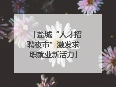 盐城“人才招聘夜市”激发求职就业新活力
